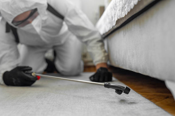 Professional Cockroach Control technician working in Olyphant, PA