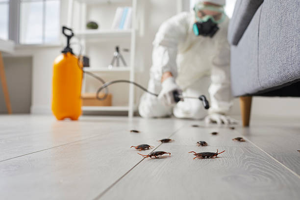 Trusted Termite Control service in Olyphant, PA - Nex Pest Control